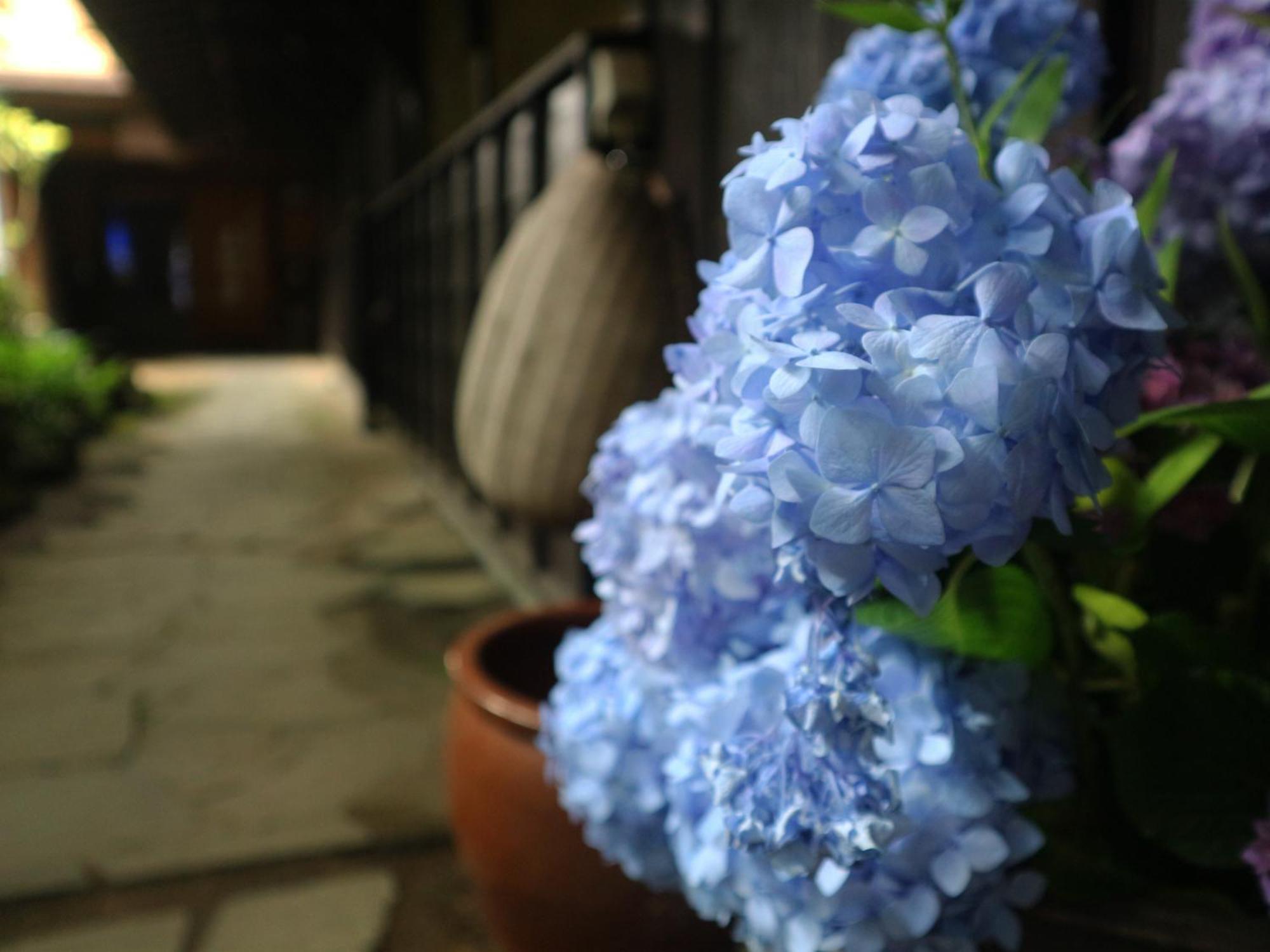 Yunohira Kamiyanagiya Hotel Yufu Exterior foto